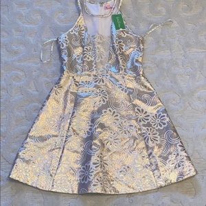 NWT Lilly Elsie dress! Size 4! Perfect, Never worn. It was too big on me.